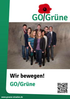 Team Go/Grüne